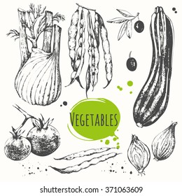 Set of hand drawn zucchini, cherry tomatoes, fennel, green beans. Vector illustration with mediterranean vegetable. Black and white fresh organic food. 