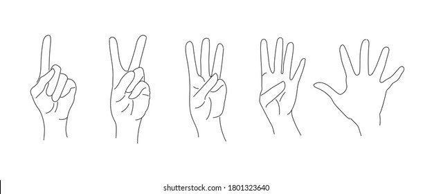 A set of hand gesture symbols - a number on the fingers. Numbers: one, two, three, four, five indicated by a gesture. Vector, isolated simple image with a single stroke.