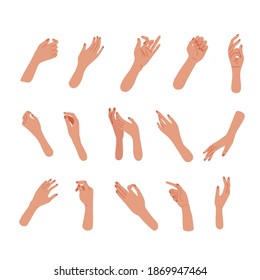 Set of Hand gestures in different positions. Elegant Female hands, palms. Vector hands showing and pointing, holding and representing. Flat vector illustration