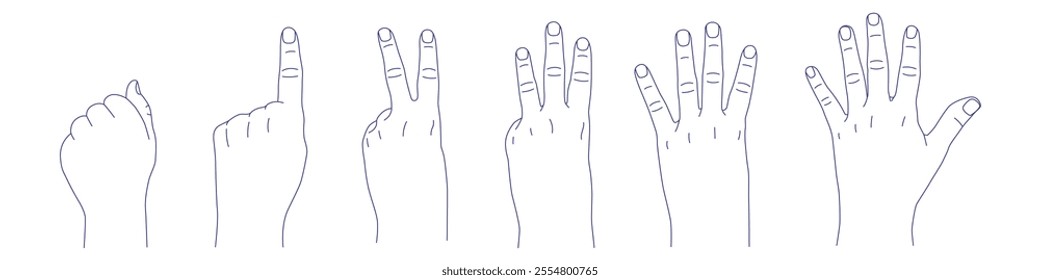 Set of hand gestures in various positions sketch. Counting with fingers. One, two, three, four and five. Fist and palm back. Index, middle, ring, little fingers and thumb