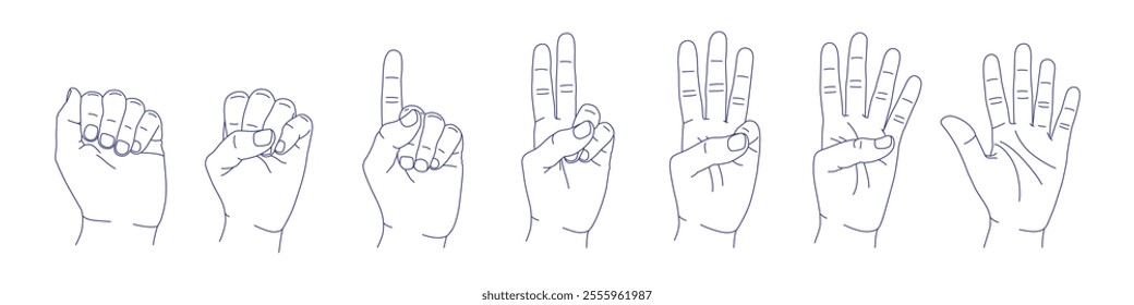 Set of hand gestures in various positions sketch. Counting with fingers. One, two, three, four and five. Fist and palm. Index, middle, ring, little fingers and thumb