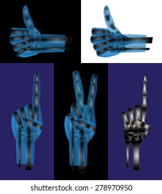 Set of hand gestures. Vector illustration for your design.
