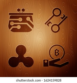 Set Hand holding Bitcoin, Cryptocurrency wallet, Cryptocurrency coin Ripple XRP and Cryptocurrency key on wooden background. Vector