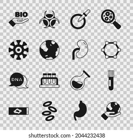 Set Hand holding Earth globe, Test tube flask, Molecule, Petri dish with pipette, Bacteria, Bio healthy food and Human kidney icon. Vector