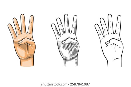 A set of hand illustrations showing the number four gesture in three styles: clean line art, shaded line art, and fully colored.