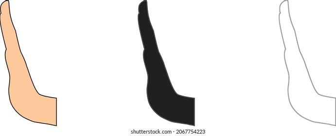 Set hand isolated on white background. vector illustration