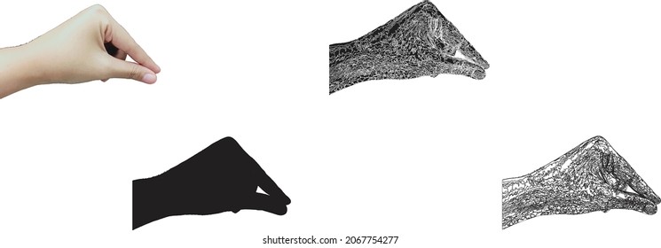 Establece la mano aislada en el fondo blanco. ilustración vectorial