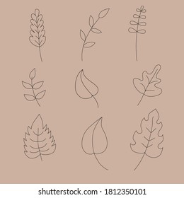 Set of hand made doodle leaves. Vector.