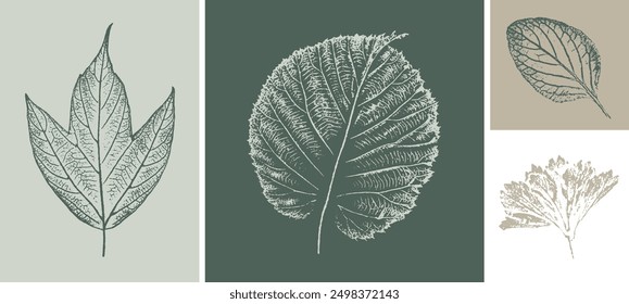 Set with hand made ink stamp leaves. Objects isolated on white. Green and tan decorative prints. Monochrome artistic floral collection. Detailed texture of forest leaves