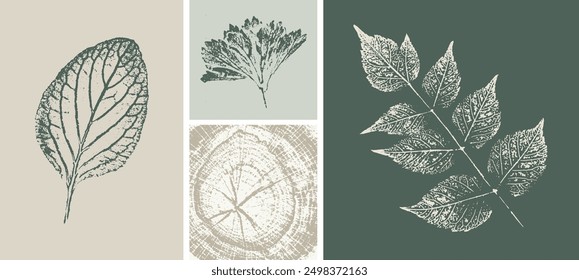 Set with hand made ink stamp leaves. Objects isolated on white. Green and tan decorative prints. Monochrome artistic floral collection. Detailed texture of forest leaves