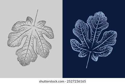 Set with hand made ink stamp leaves. Objects isolated on white. Black and white leaf blots. Monochrome artistic floral collection. Detailed texture of forest leaves