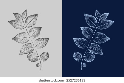 Set with hand made ink stamp leaves. Objects isolated on white. Black and white leaf blots. Monochrome artistic floral collection. Detailed texture of forest leaves