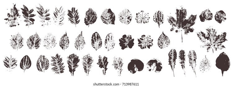 Set with hand made ink stamp leaves. Objects isolated on white. Black and white leaf blots. Monochrome artistic floral collection. Hi detailed texture of forest leaves