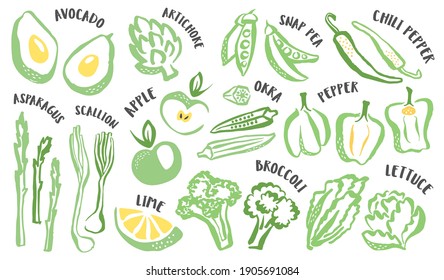 Set of hand painted green vegetables and fruits. Stylized food hand drawn with ink brush. Vector illustration isolated on white background