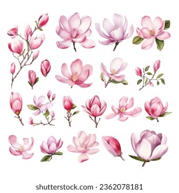 Set of Hand Painted Magnolia Flower Watercolor
