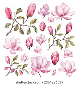 Set of Hand Painted Magnolia Flower Watercolor