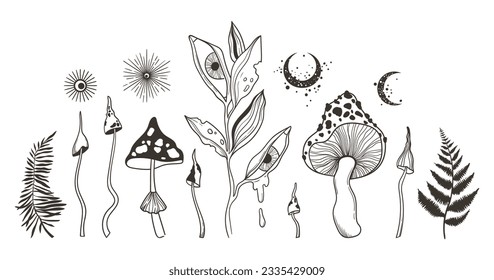 Set of hand painted mystic black and white vector flowers and leaves, fern, mushrooms, toadstool, amanita, crescent moon and stars silhouettes. Magical botanical floral designs