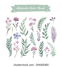 Set of hand painted purple watercolor vector flowers and green leaves. Design element for summer wedding, spring congratulation card. Perfect floral elements for save the date card.