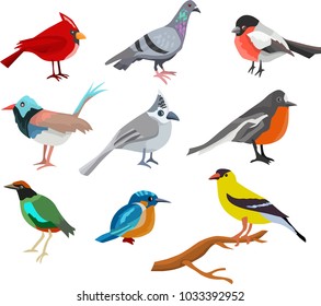 Set of hand painted Vector Illustration of Birds isolated on white background