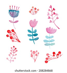 Set of Hand Painted Watercolor Flowers. Vector eps10