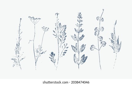 set of hand printed wild flowers (vector silhouettes)