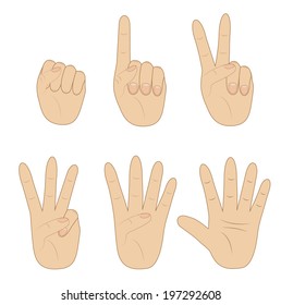 set hand, showing different number on white background, vector illustration