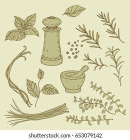 Set of Hand sketched italian Cuisine. Vector set of drawn mediterranean food element. Kitchen accessories, thyme, rosemary, pepper, tomatoes, garlic, herbs Traditional europe meal in ink style.