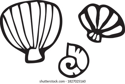 conjunto de bocetos manuales del vector de conchas marinas