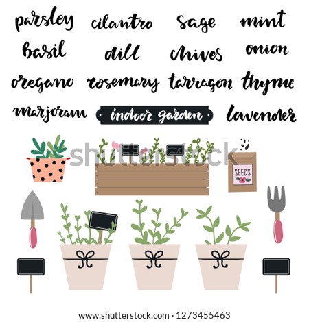 Set of hand written lettering herbs names: mint, basil, parsley,thyme,dill, lavender, rosemary,oregano. Indoor kitchen gardening set of elements, , spade, pitchfork, seeds. Indoor garden concept