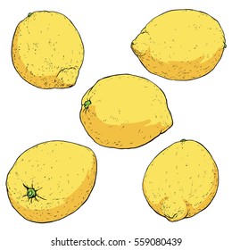 Set of Handcrafted Lemon Icons, Hand Drawn Doodle Lemons, Vector Illustration