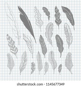 Set of hand-drawing black feathers. Vector illustration