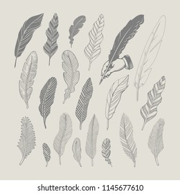 Set of hand-drawing black feathers. Vector illustration