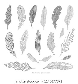 Set of hand-drawing black feathers. Vector illustration