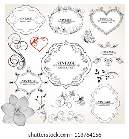 Set of hand-drawing calligraphic floral design elements. Vector illustration.