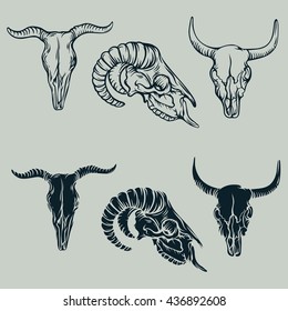 Set of hand-drawn animal skulls.