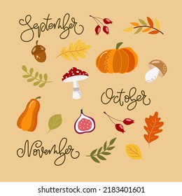 Set of handdrawn autumn elements-pumpkins, berries, yellow, red leaves, figue, acorn, calligraphy names of months. For design calendars, posters, scrapbooking.
