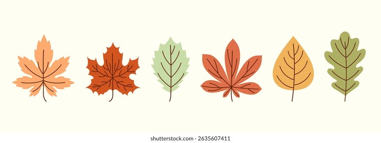 Set of hand-drawn autumn leaves. Botanical vector elements for seasonal design