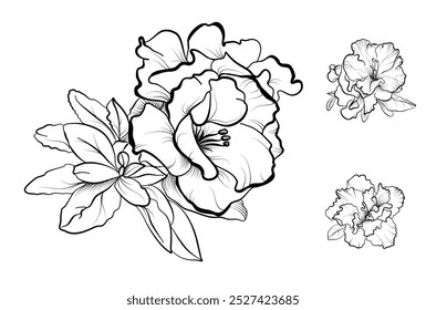 a set of hand-drawn azalea flowers vector illustration