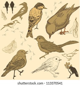 Set of handdrawn birds