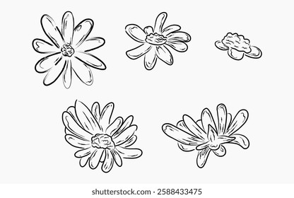 A set of hand-drawn black and white flower line art illustrations. Perfect for botanical, floral, and decorative design projects.