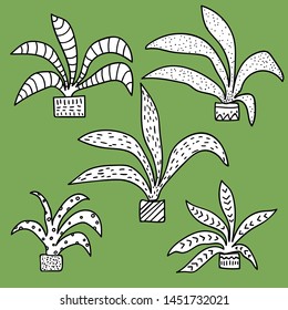 Set of handdrawn black and white plants.