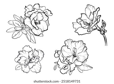 a set of hand-drawn blooming azalea flowers vector illustration