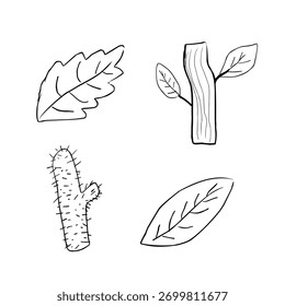 A set of hand-drawn botanical elements including leaves, a tree branch, and a cactus. Minimalist line art style, perfect for nature icons, eco designs, stickers, and educational materials.