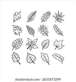 Conjunto de ilustraciones de arte de línea de hoja botánica dibujadas a mano volumen 3. Dibujos de follaje minimalistas y elegantes perfectos para logotipos, empaques, arte de pared, invitaciones y marcas.