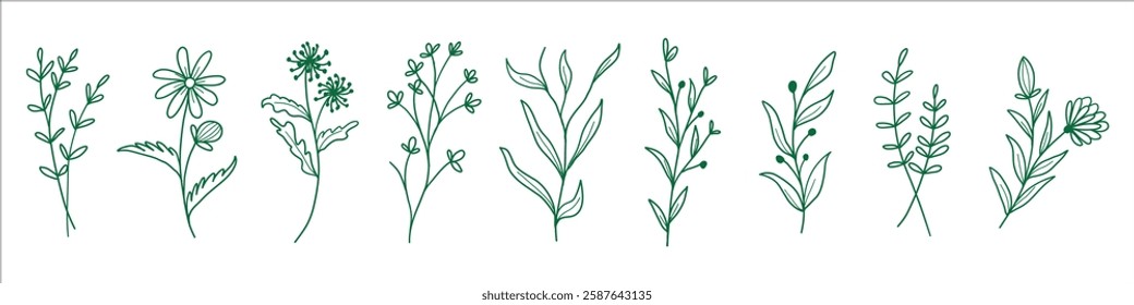 Set of hand-drawn botanical plant illustrations with floral elements in minimalistic style. Nature design concept