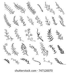 set of hand-drawn branches