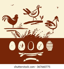 Set of hand-drawn brush rooster, chicken, eggs.  Label, image advertising poultry products, chicken and eggs. 