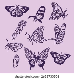 Set of hand-drawn butterfly illustrations in line art style. Delicate, decorative, and versatile design.