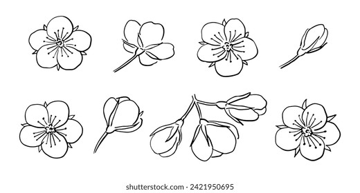 Flores de cerezo dibujadas a mano
