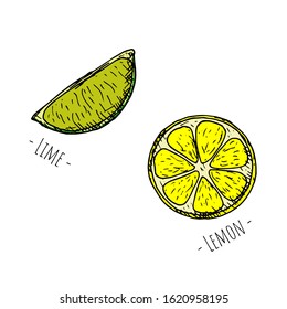 Set of hand-drawn citrus. Vector cartoon illustrations. Isolated objects on a white background.